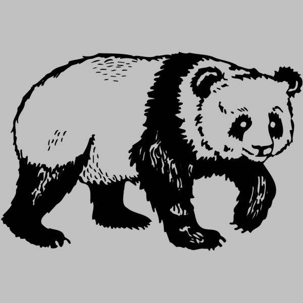 BEAR019 Thumbnail
