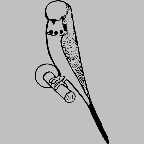 BIRD016 Thumbnail