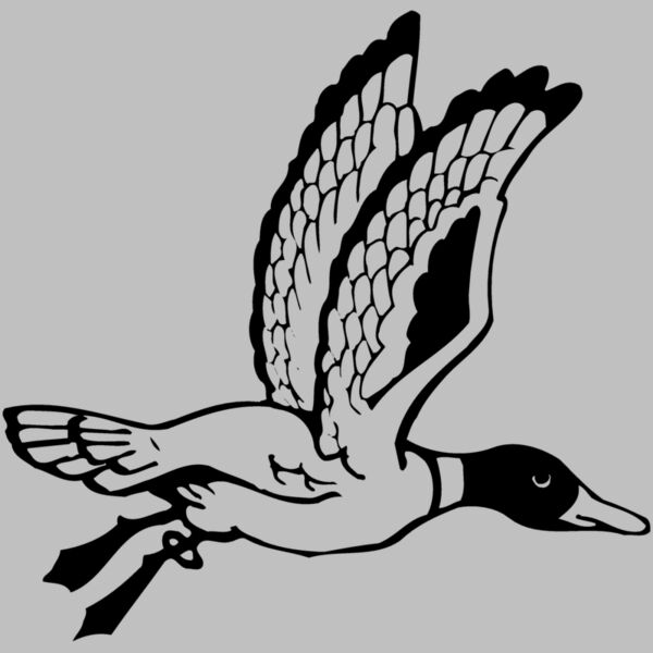 BIRD069 Thumbnail