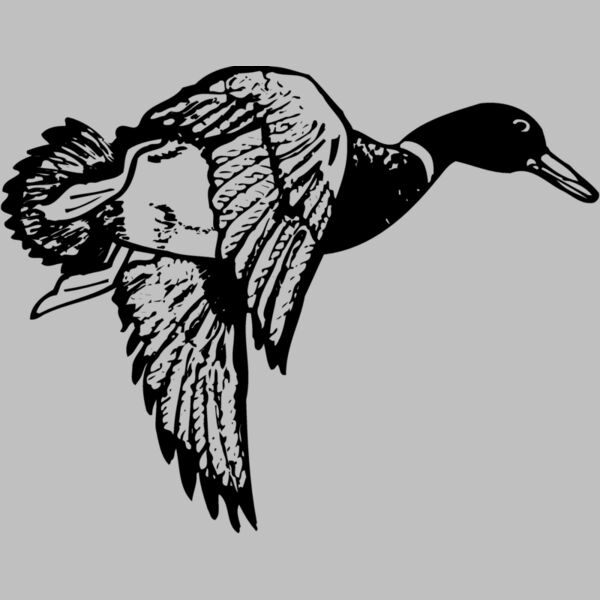 BIRD083 Thumbnail