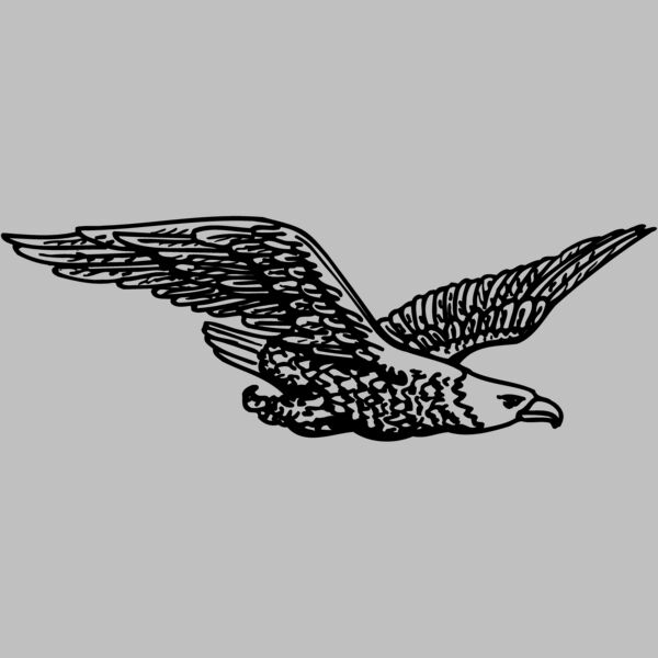 EAGLE006 Thumbnail