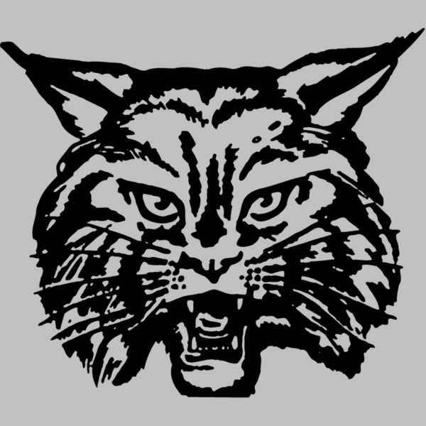 CAT03 Thumbnail
