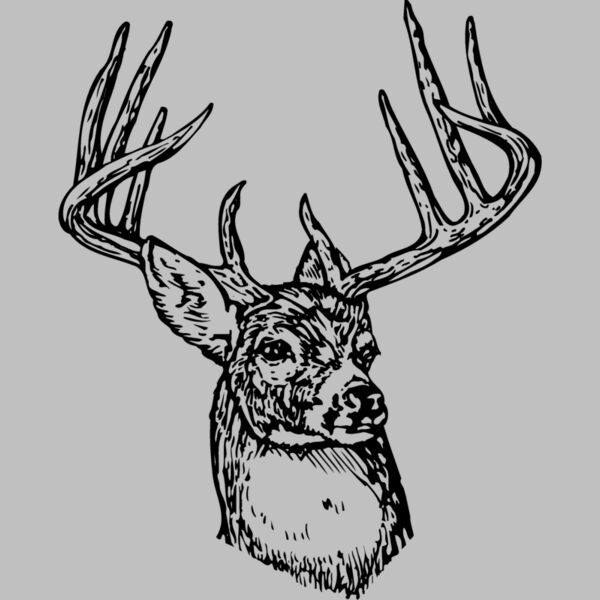 DEER006 Thumbnail