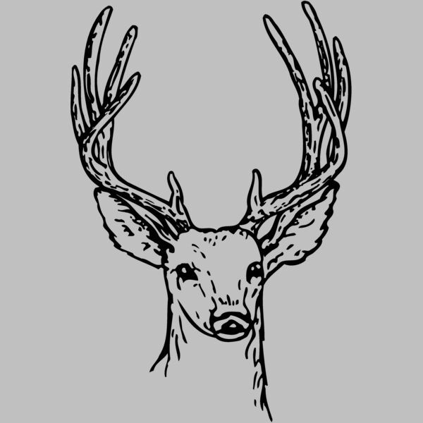 DEER011 Thumbnail