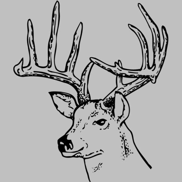 DEER014 Thumbnail