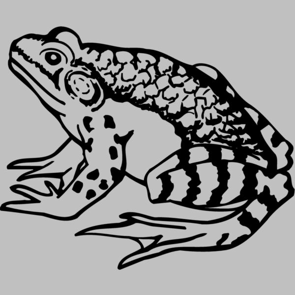 FROG03 Thumbnail