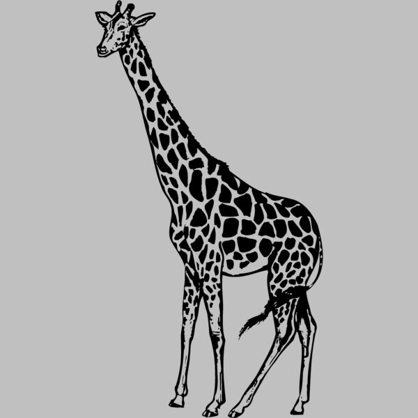 GIRAFF01 Thumbnail