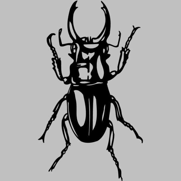 EARWIG Thumbnail
