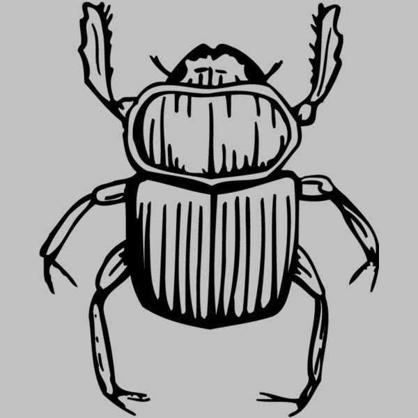 JUNEBUG Thumbnail