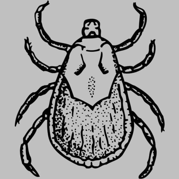 TICK Thumbnail