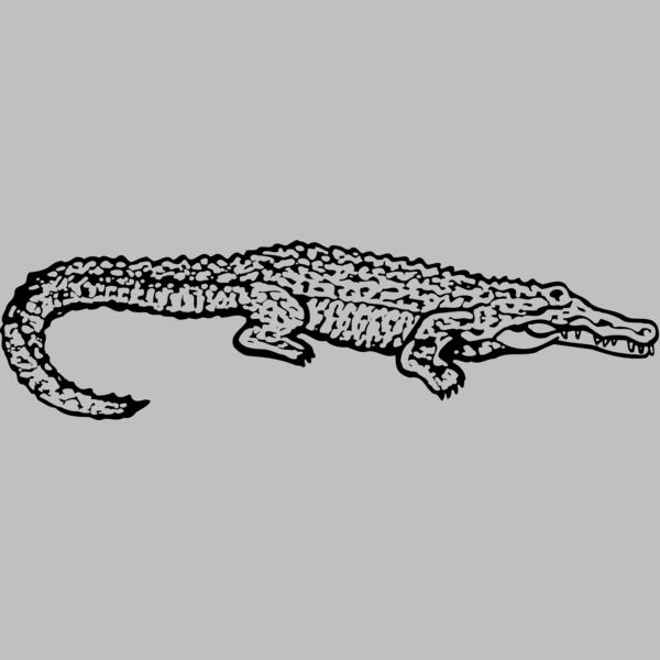 GATOR02 Thumbnail
