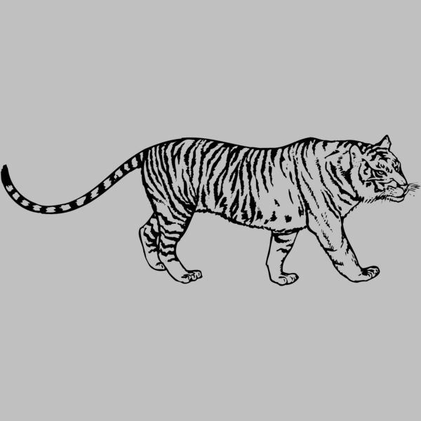 TIGER003 Thumbnail