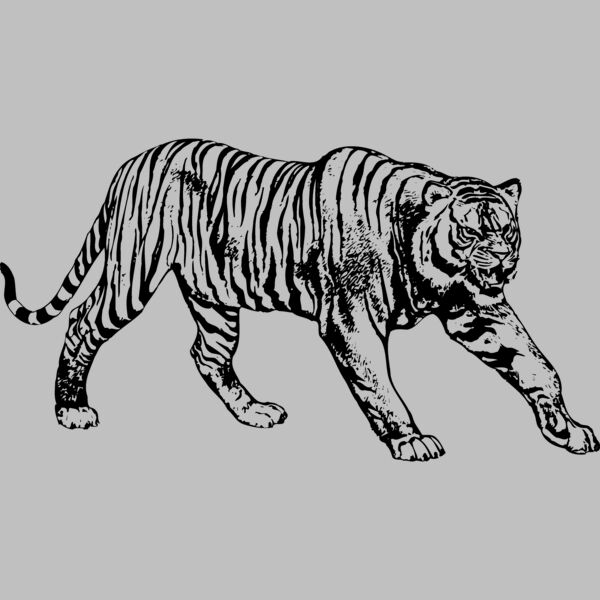 TIGER005 Thumbnail