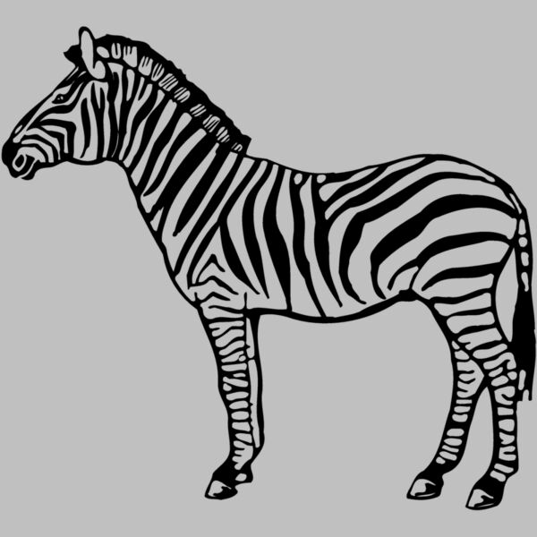 ZEBRA004 Thumbnail