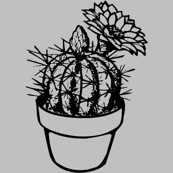 CACTUS01 Thumbnail