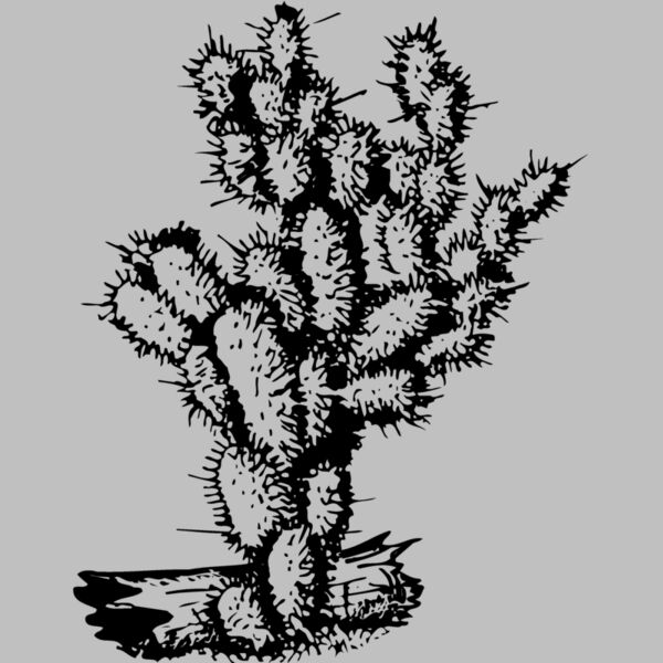 CACTUS09 Thumbnail
