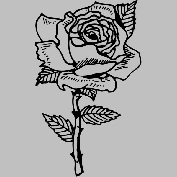 FLOWER04 Thumbnail