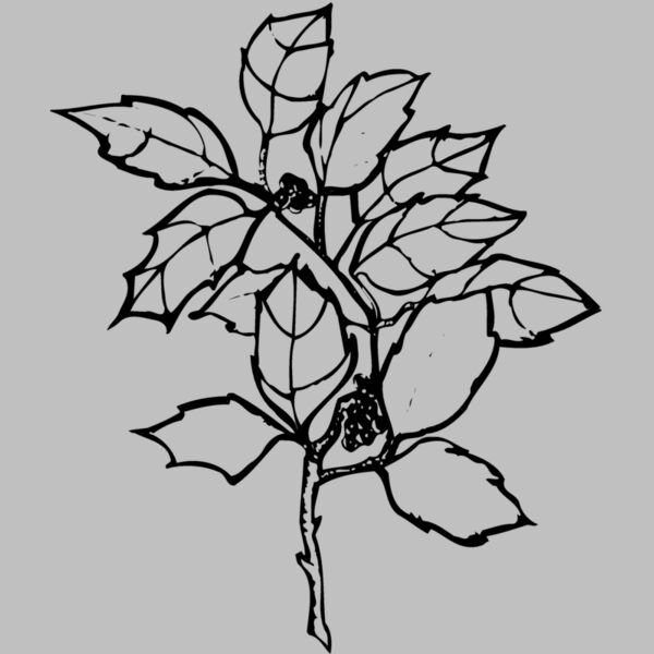 FLOWER08 Thumbnail