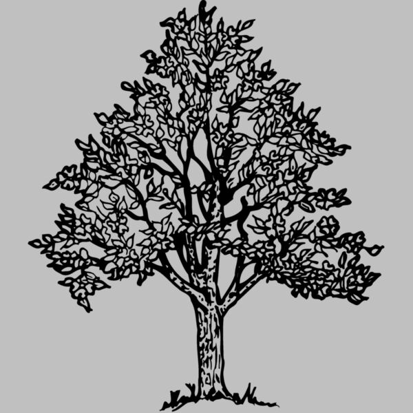 TREE0004 Thumbnail