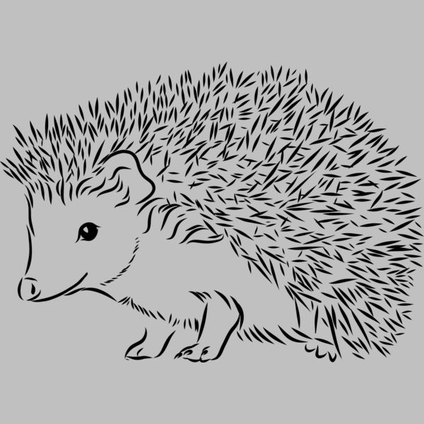 Hedgehog   Clipart 2 Thumbnail