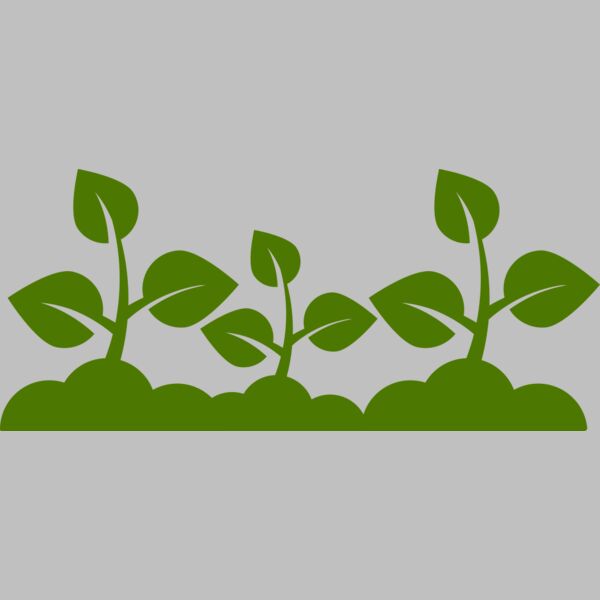 Plant Leaves Thumbnail