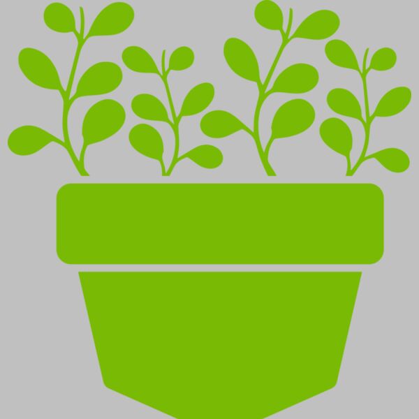 Succulent Plant 3 Thumbnail