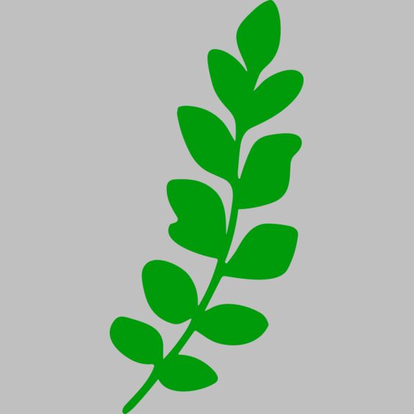Leaves Thumbnail