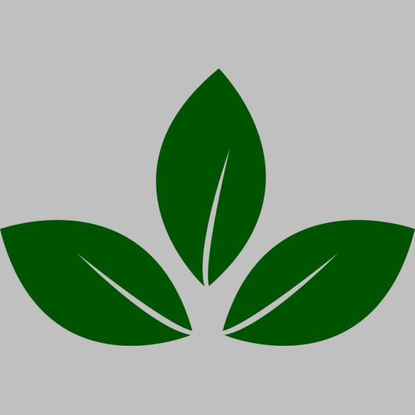 Leaves 5 Thumbnail
