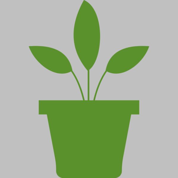 Plant 2 Thumbnail