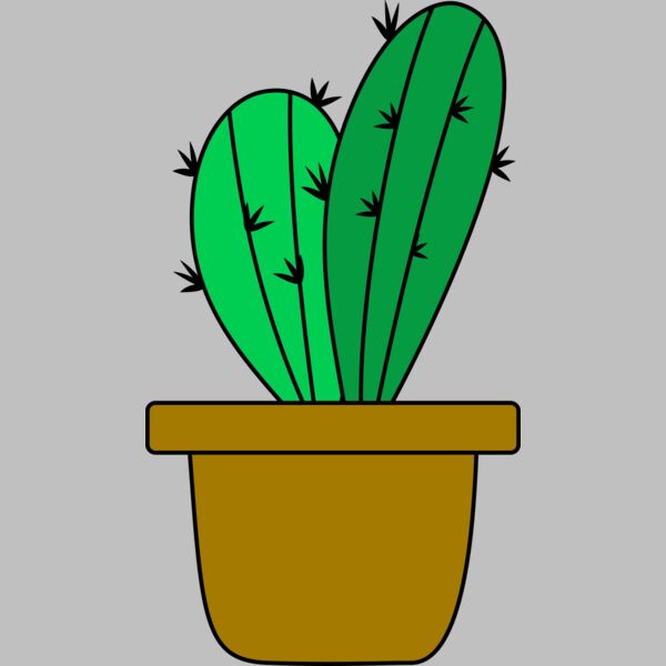 Cactus 4 Thumbnail