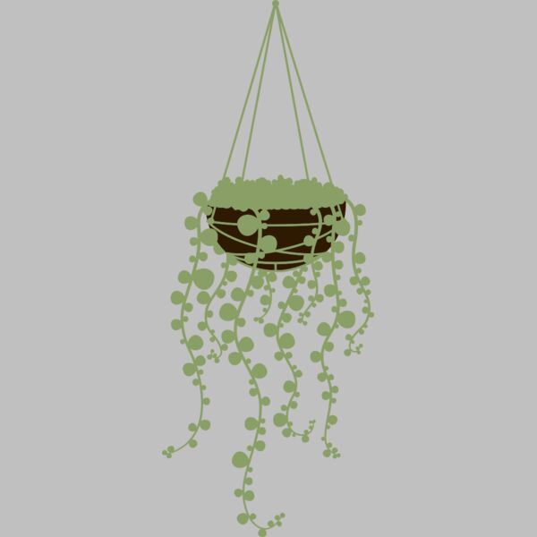 Hanging Plants 3 Thumbnail