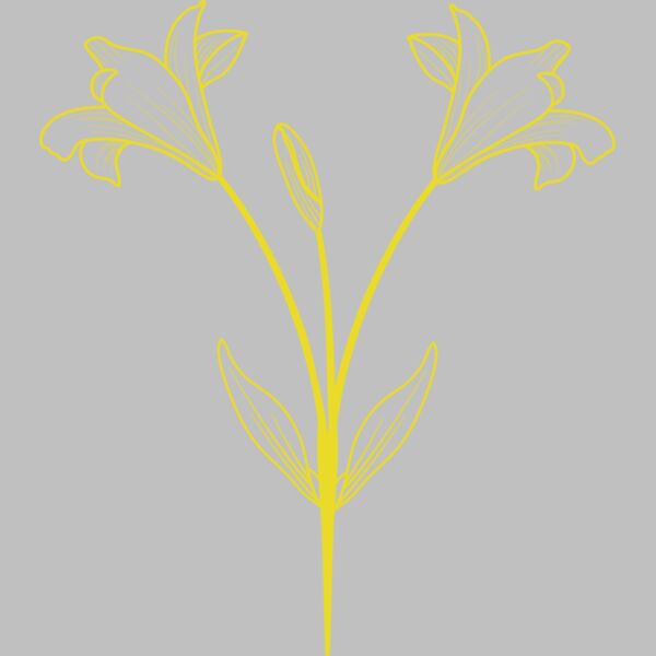 Flowers 9 Thumbnail