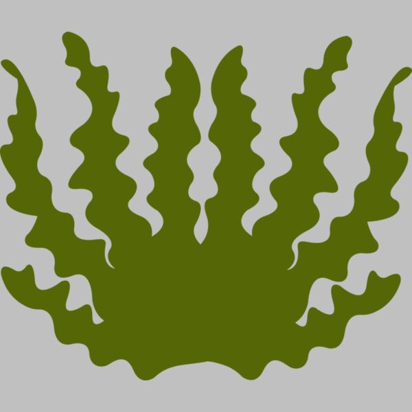 Sea Plant 2 Thumbnail