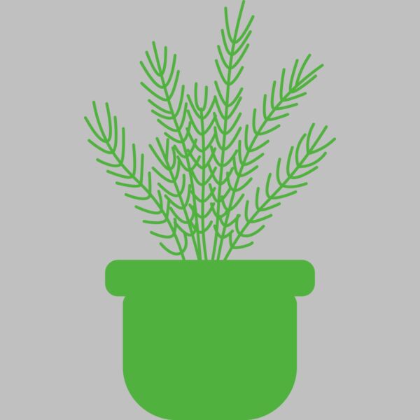 Herb Thumbnail