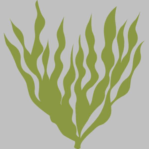 Sea Plants 5 Thumbnail