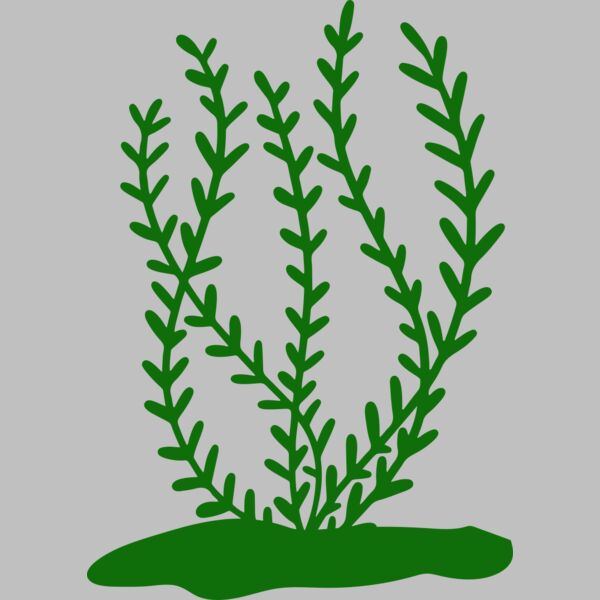 Sea Plants 3 Thumbnail