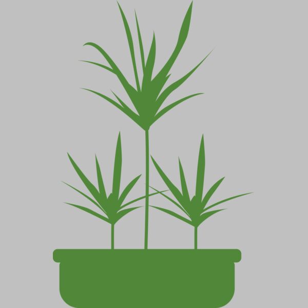 Plants 5 Thumbnail