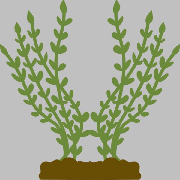 Plants 4 Thumbnail
