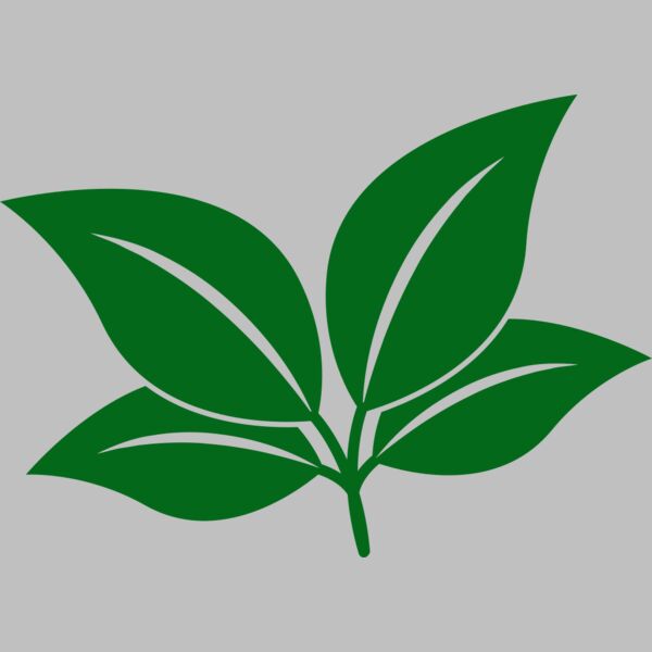 Leaves Thumbnail