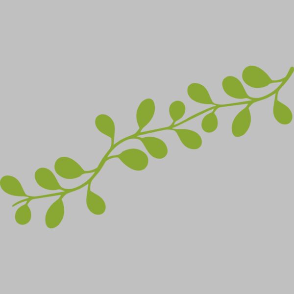 Leaves 13 Thumbnail