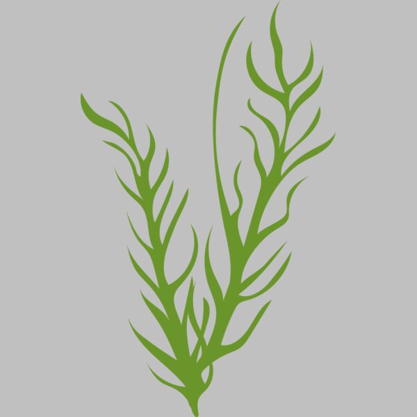 Leaves 8 Thumbnail