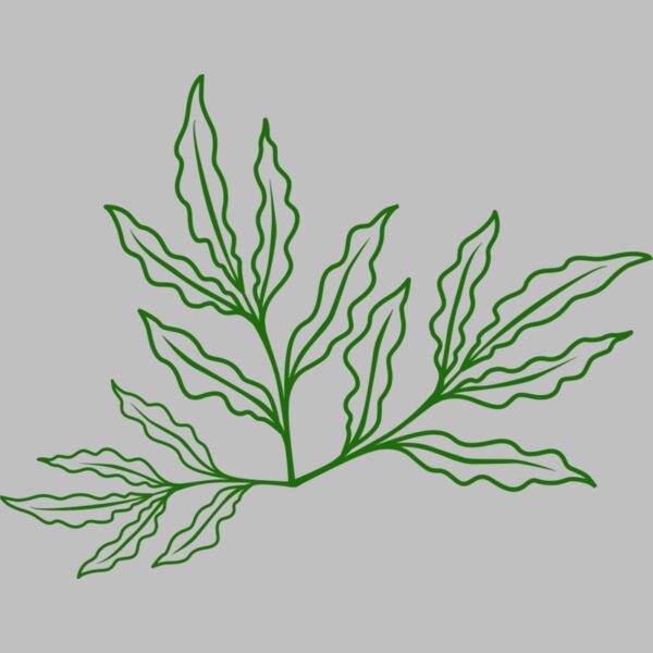 Leaves 7 Thumbnail