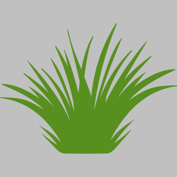 Grass 2 Thumbnail