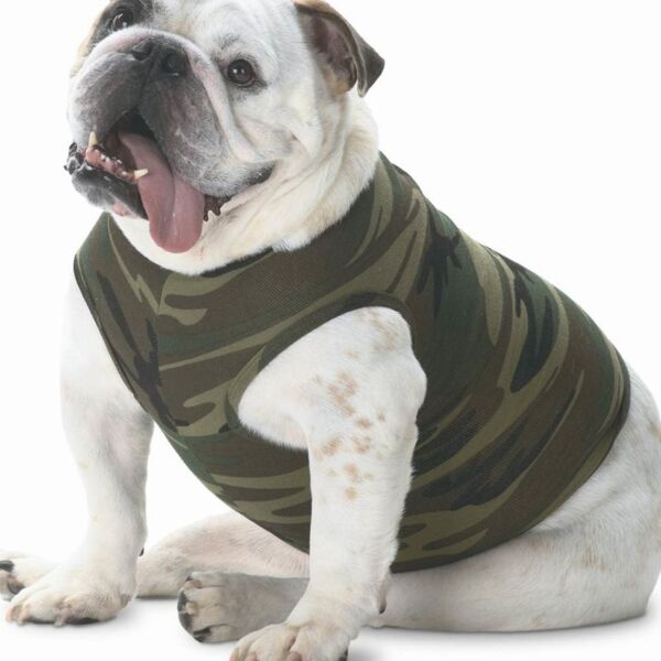 Camouflage Thumbnail