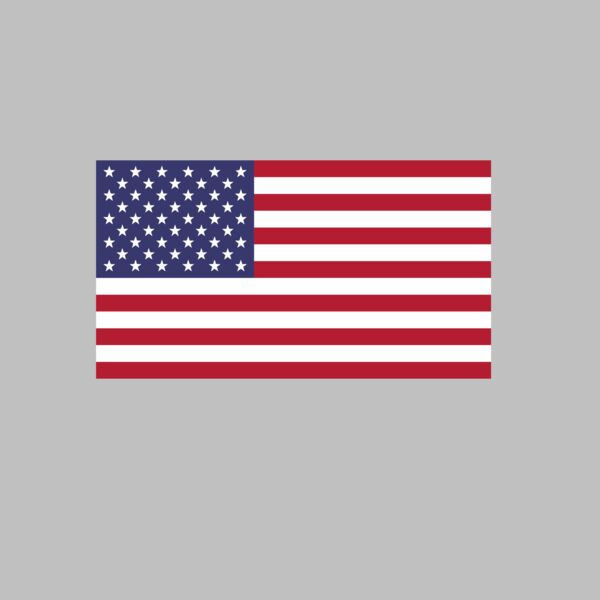 USA Flag Thumbnail
