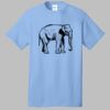 Best Selling Cotton Tee Thumbnail