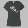 Women's Perfect® Tri Soft-Style Tee Thumbnail