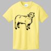 Best Selling Youth Cotton Tee Thumbnail