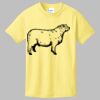 Best Selling Youth Cotton Tee Thumbnail