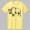 Best Selling Youth Cotton Tee Thumbnail